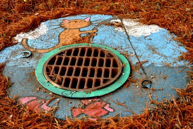 preventing drain clogs in Sterling Heights homes