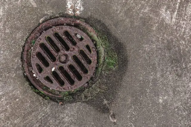 basement drain backup Sterling Heights