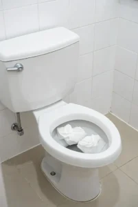 Toilet Drain Cleaning in Stuart