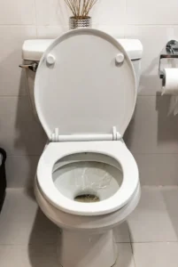 Toilet Drain Cleaning in Stuart