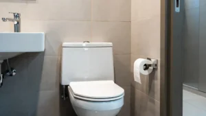 toilets