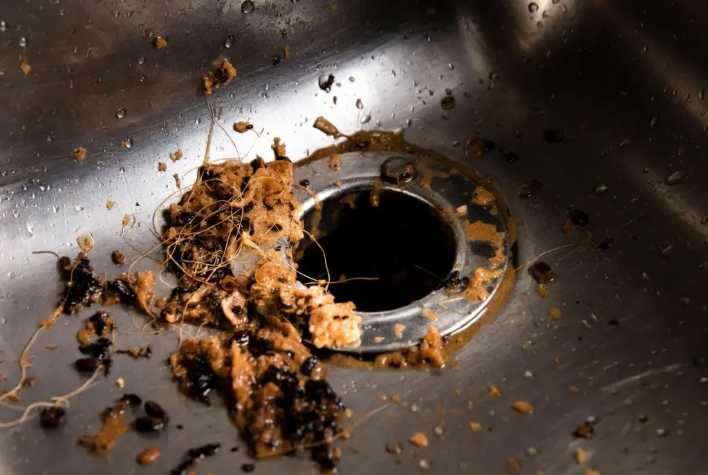 drain cleaning Carmel 